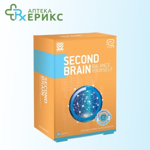 Second brain