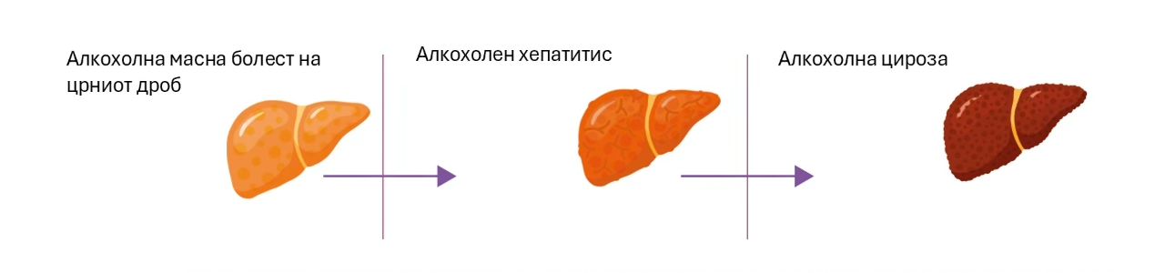 fazi na ostetuvanje na crn drob
