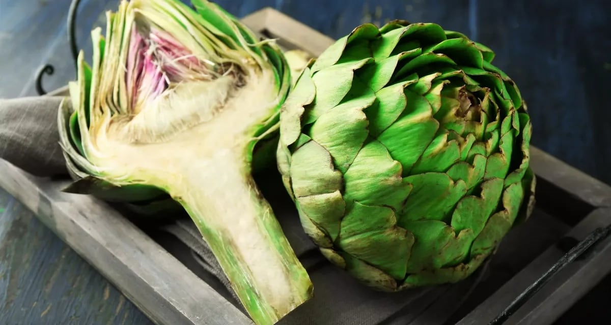 10 dokazani pridobivki od koristenje artichoka